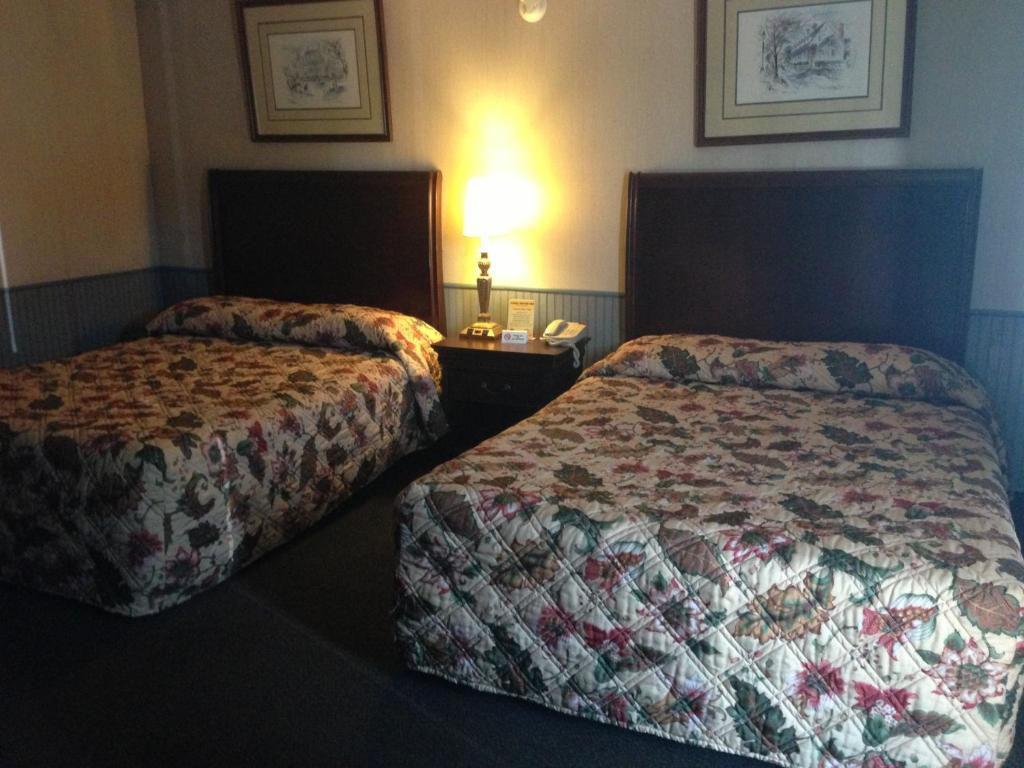 Cadet Motor Inn - Coldwater Rom bilde