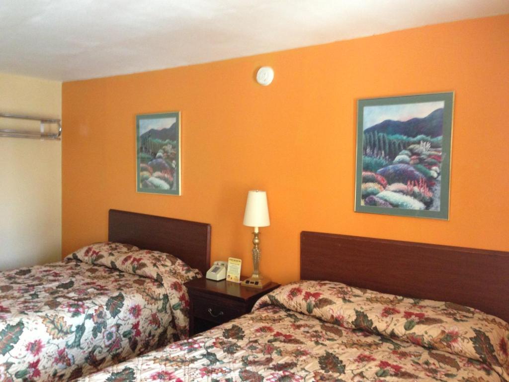Cadet Motor Inn - Coldwater Rom bilde