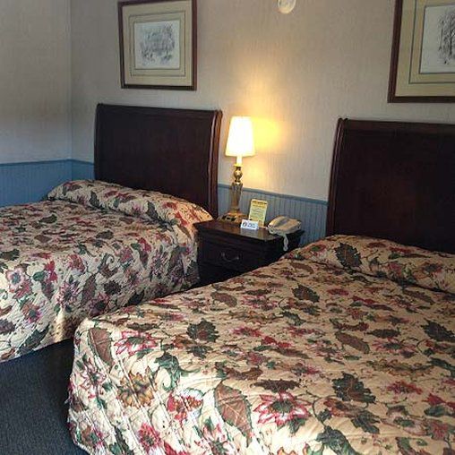 Cadet Motor Inn - Coldwater Rom bilde